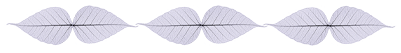 sohum_leaves sohum_leaves