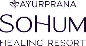 SoHum Healing Resort Logo