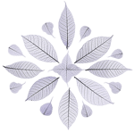 sohum_purple_mandala2 sohum_purple_mandala2